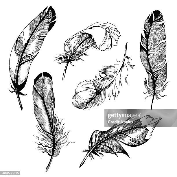 feather set - falling feathers stock illustrations