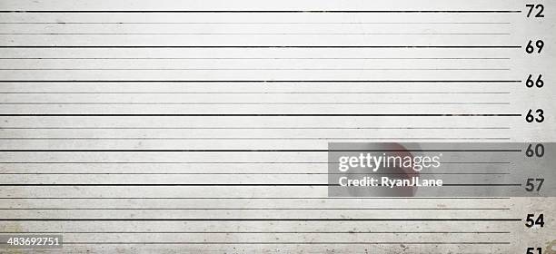 mug shot background - line up stock pictures, royalty-free photos & images