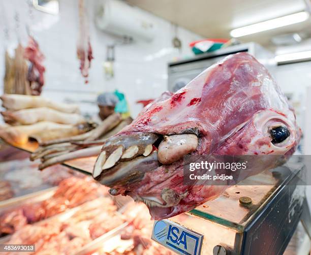 skinned camel head on market in deira dubai - dead camel stock pictures, royalty-free photos & images