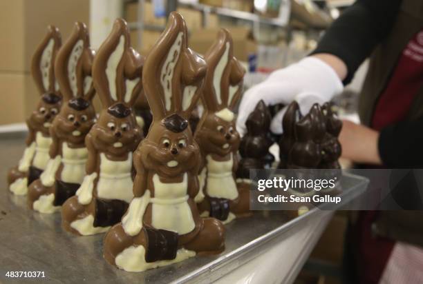 An employee packs chocolate Easter bunnies at the production facility at Confiserie Felicitas chocolates maker on April 9, 2014 in Hornow, Germany....