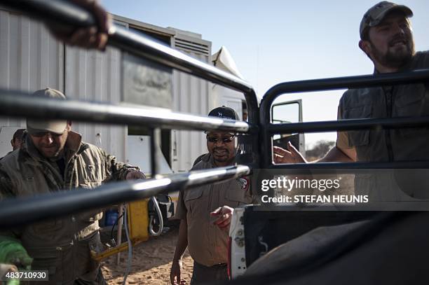 Owner of Ekim Game Breeders Mike Gcabo checks a wildebeest caught on his property on August 6, 2015 in Lephalale, South Africa. Mike Gcabo is part of...