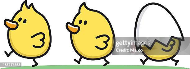 cartoon siblings / three little chicks - newborn animal stock illustrations