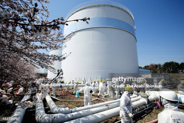 Members of the Fukushima prefectural government's expert committee responsible for monitoring the reactor decommissioning effort at the plant,...