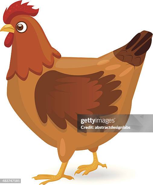 hen - cartoon chickens stock illustrations