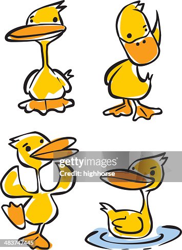 Ducks Ducks