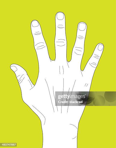 Inhand Back Back Of Hand Isolated Photos and Premium High Res Pictures - Getty Images