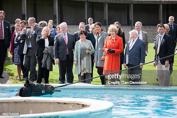 Irish President Michael D. Higgins stands with his wife Sabina Higgins watching a horse in a equine bathing pool at the Kingsclere, Park House...