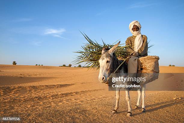 afrikanischer nomad mann - bedouin stock-fotos und bilder