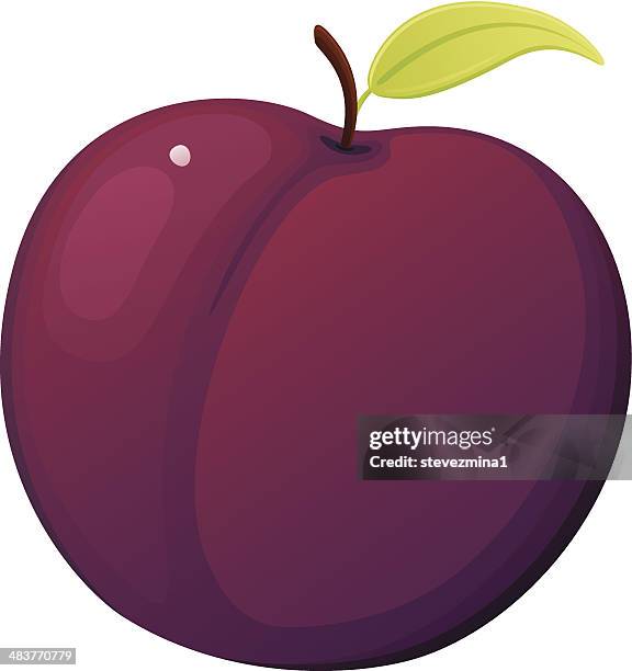 1 106点のプラムイラスト素材 Getty Images 1 106点のプラムイラスト素材 Getty Images