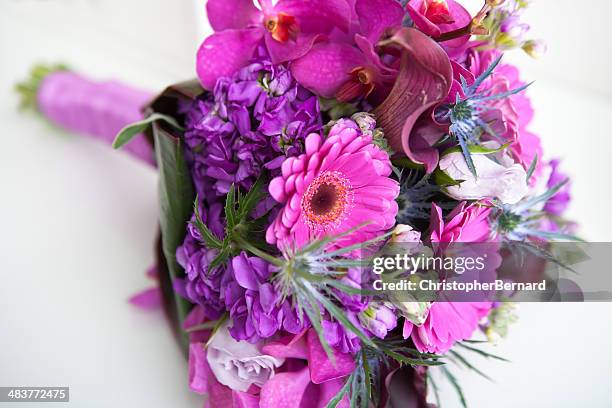 violet bouquet de la mariée - rosa violette parfumee photos et images de collection