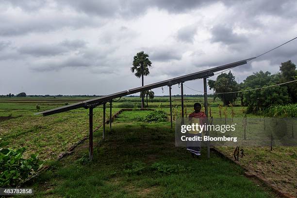 Man stands under solar panels, part of a solar power microgrid owned and operated by Veddis Solars Pvt., in the village of Kayam, Bihar, India, on...