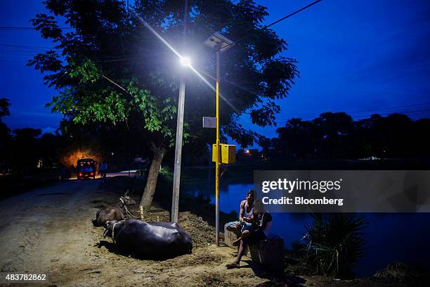 Cows rest by the side of a road as a man and child sit under a light powered by energy from a solar power microgrid at night in the village of...