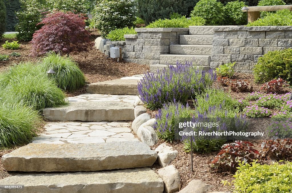 Professional Landscaping