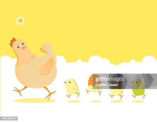 easter partridge family: mother hen and newborn baby chicks - young bird stock illustrations