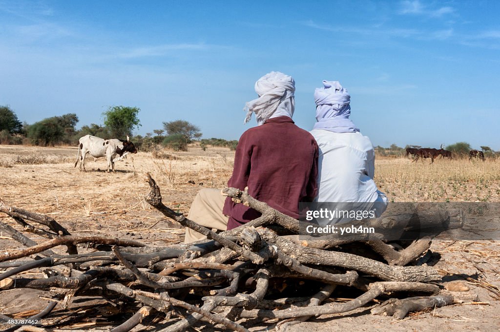 Wildlife in Chad