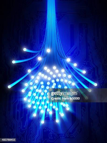 fibra óptica sectores contra fundo de circuito - fiber imagens e fotografias de stock