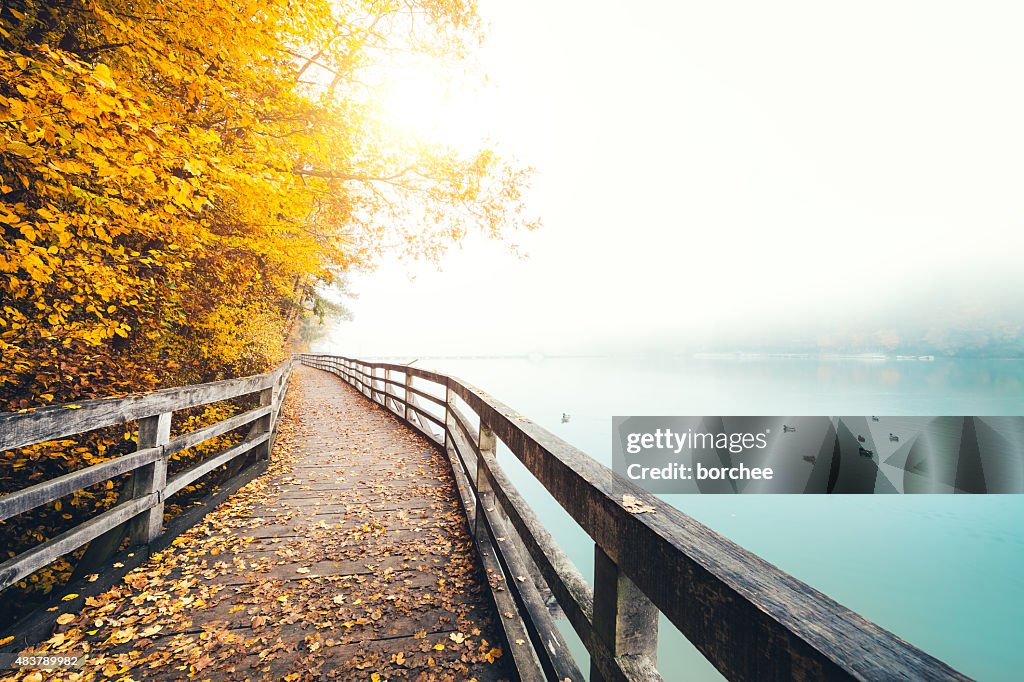 Herbst Pfad entlang dem See