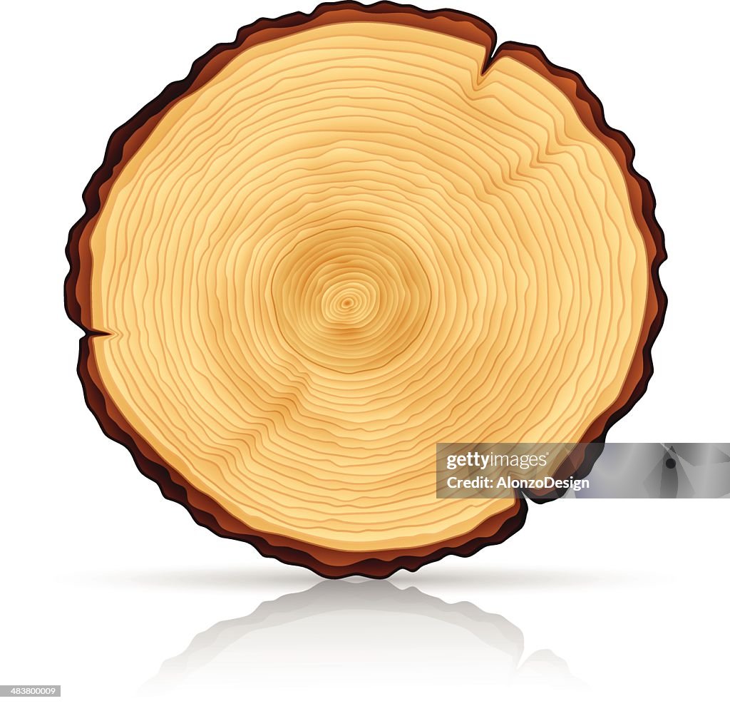 Wooden Cross section