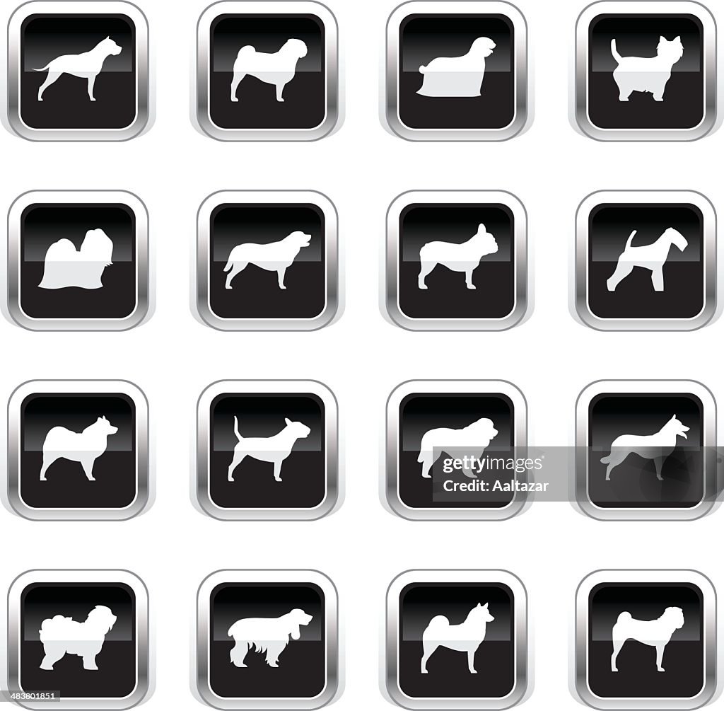 Supergloss Black Icons - Dogs