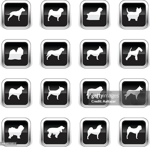 supergloss black icons - dogs - malamute stock illustrations