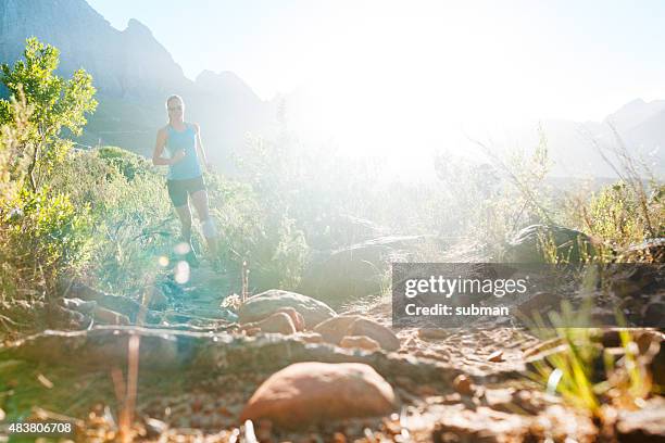 early morning running - reserve athlete stock pictures, royalty-free photos & images
