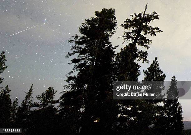 Perseid meteor streaks across the sky above desert pine trees on August 13, 2015 in the Spring Mountains National Recreation Area, Nevada. The annual...