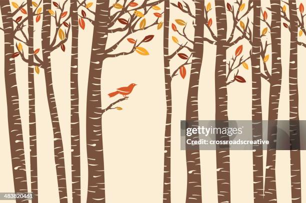 stockillustraties, clipart, cartoons en iconen met autumn bird perch - berk