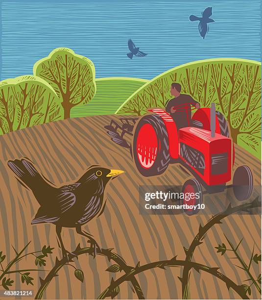 stockillustraties, clipart, cartoons en iconen met tractor ploughing field with blackbirds - omgeploegd veld
