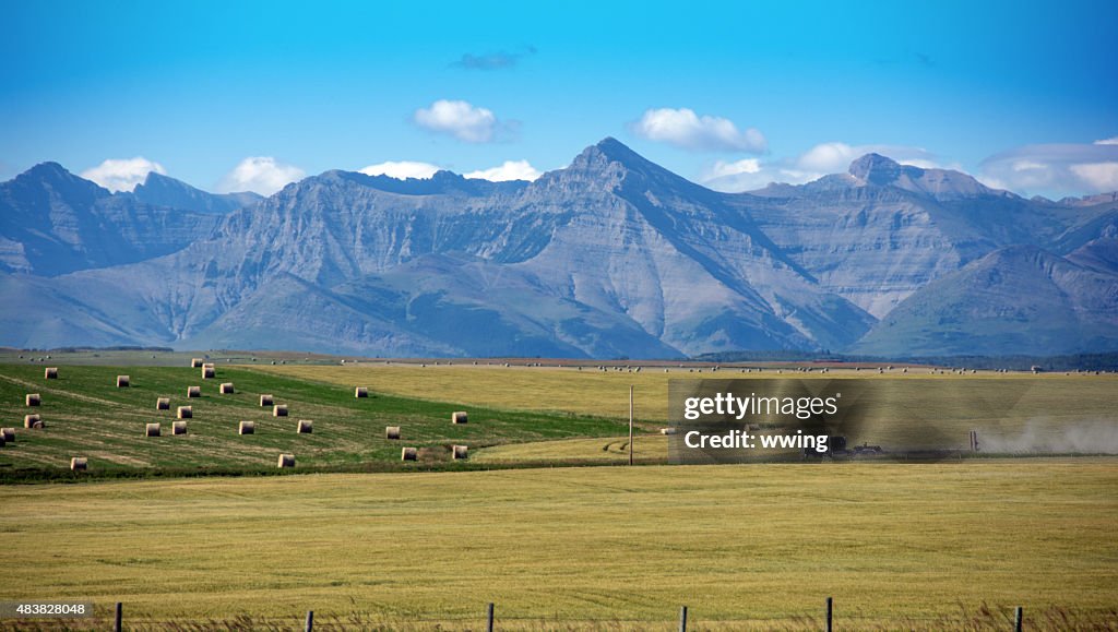 Heno fardos, montañas rocosas, truck- en el sur de Alberta, Canadá