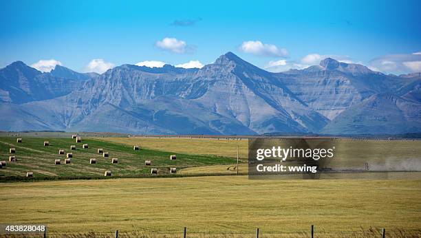 hay bales, rocky mountains, truck- in southern alberta, canada - alberta farm scene stockfoto's en -beelden