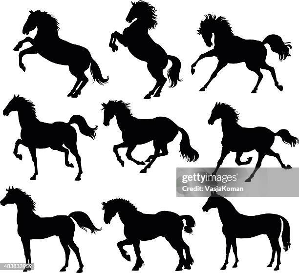 ilustraciones, imágenes clip art, dibujos animados e iconos de stock de siluetas de caballos - caballo familia del caballo