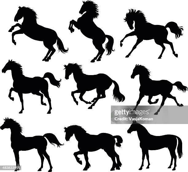 horses silhouettes - animals in the wild stock illustrations