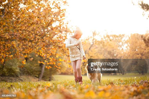 little girl walking in the park with her dog - retriever jump stock pictures, royalty-free photos & images