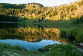 Early Morning Reflection Tony Grove Lake Logan Canyon Utah