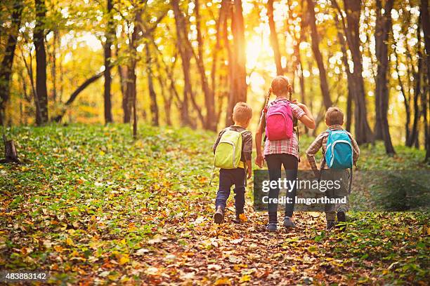 kinder mit rucksäcken zu fuß im herbst wald - school holiday stock-fotos und bilder