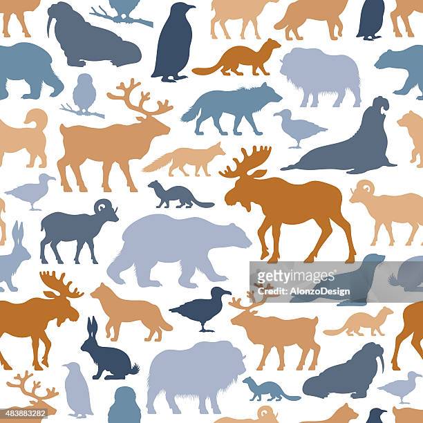 arctic animals pattern - animal wildlife stock illustrations
