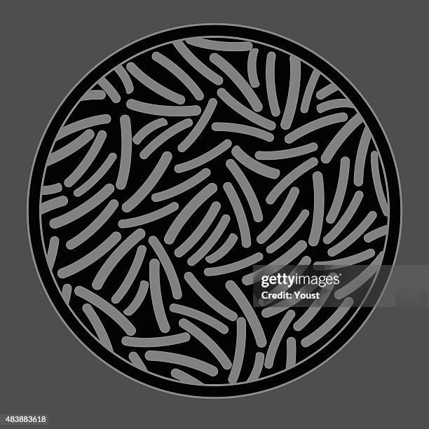pathogenic bacteria culture - staphylococcus aureus stock illustrations