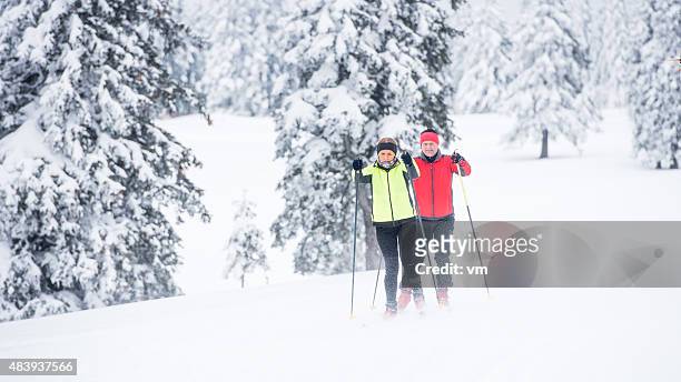 wide shot of couple back country nordic skiing - cross country skiing stock pictures, royalty-free photos & images