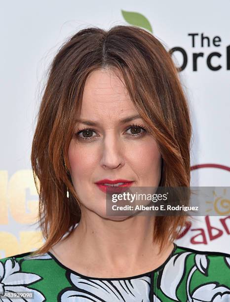 Actress Rosemarie DeWitt attends the premiere of "Digging for Fire" at The ArcLight Cinemas on August 13, 2015 in Hollywood, California.