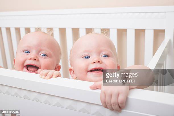 identical twin baby boys - twin babies stockfoto's en -beelden