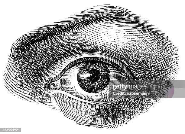 nahaufnahme von einem auge - close up stock-grafiken, -clipart, -cartoons und -symbole