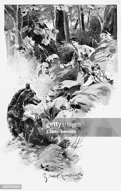 bear bees and boys - bear white background stock illustrations