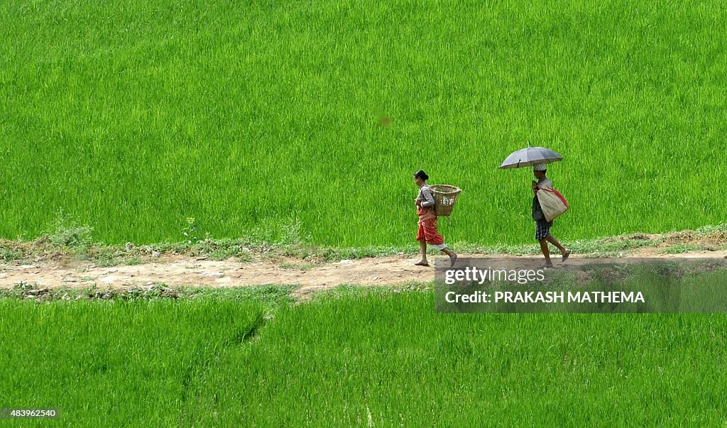 NEPAL-ECONOMY-AGRICULTURE