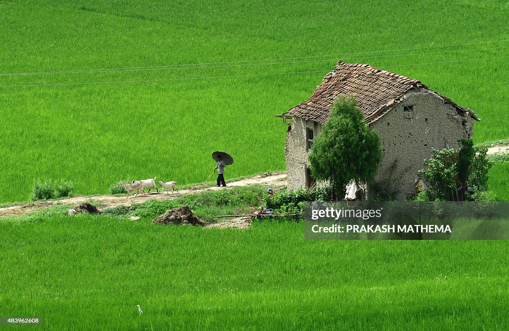 NEPAL-ECONOMY-AGRICULTURE