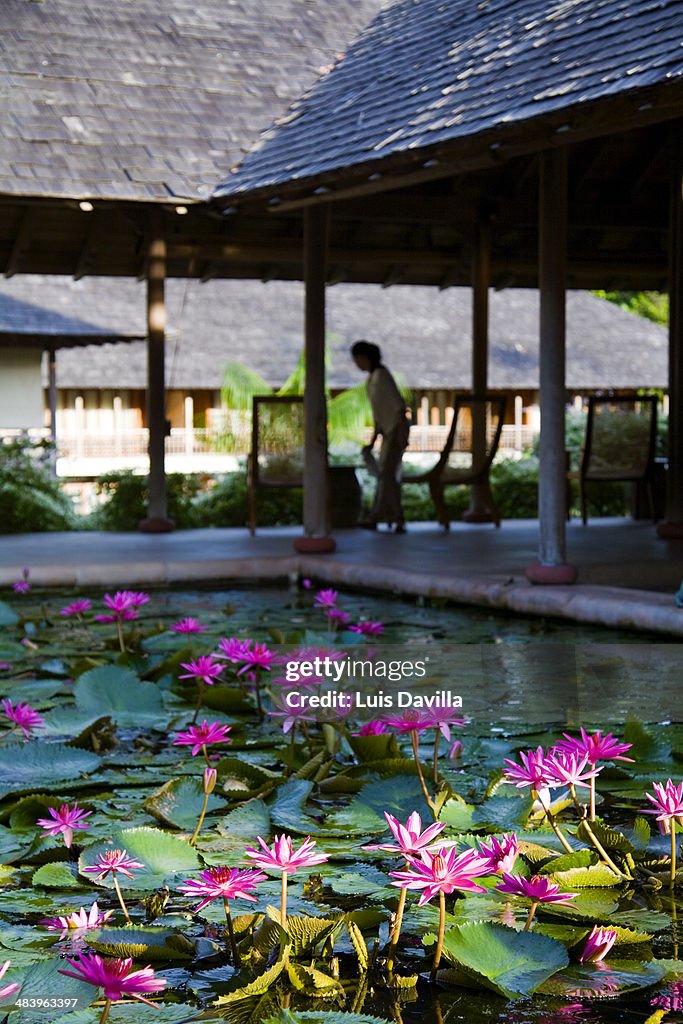 The resort. Langkawi island.