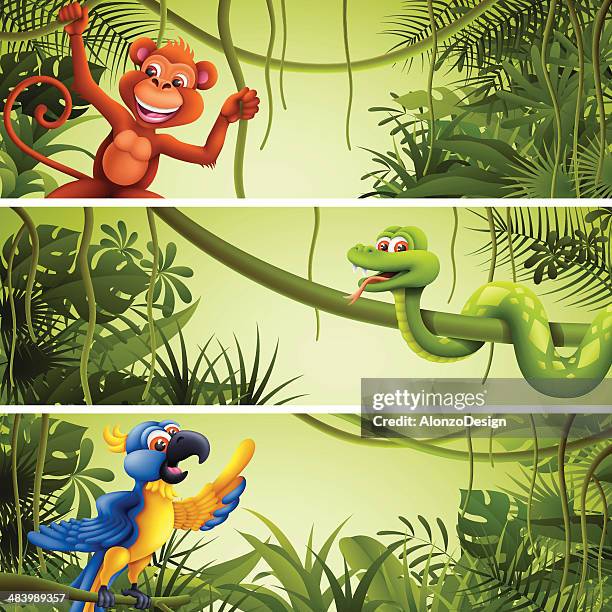 766 Jungle Animals Cartoon Photos and Premium High Res Pictures - Getty Images 766 Jungle Animals Cartoon Photos and Premium High Res Pictures - Getty Images