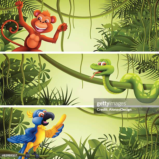 jungle banners with wild animals - jungle tree cartoon stock illustrations