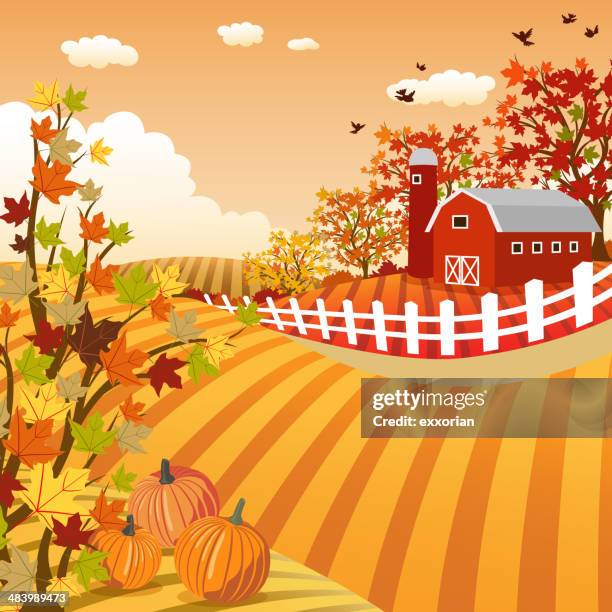 autumn farm landscape - animal pen stock illustrations