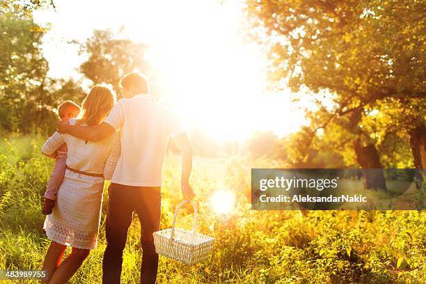 família tendo um piquenique em um campo imagem super exposta - brightly lit imagens e fotografias de stock