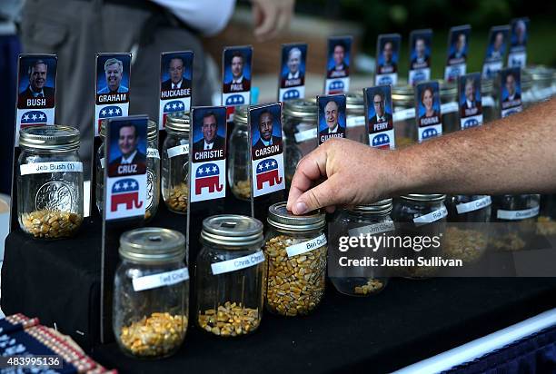 Fairgoer places a vote for republican presidential hopeful Ben Carson during the Iowa State Fair on August 14, 2015 in Des Moines, Iowa. Presidential...